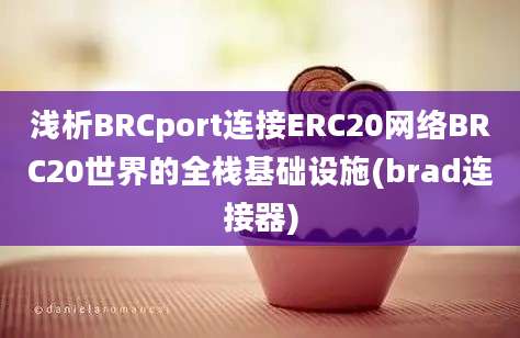 浅析BRCport连接ERC20网络BRC20世界的全栈基础设施(brad连接器)