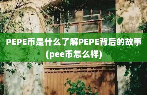 PEPE币是什么了解PEPE背后的故事(pee币怎么样)