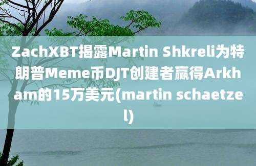 ZachXBT揭露Martin Shkreli为特朗普Meme币DJT创建者赢得Arkham的15万美元(martin schaetzel)