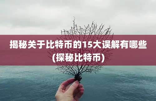 揭秘关于比特币的15大误解有哪些(探秘比特币)