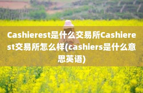 Cashierest是什么交易所Cashierest交易所怎么样(cashiers是什么意思英语)