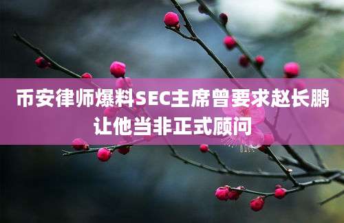 币安律师爆料SEC主席曾要求赵长鹏让他当非正式顾问