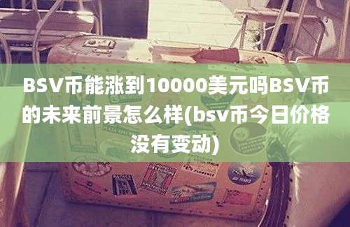 BSV币能涨到10000美元吗BSV币的未来前景怎么样(bsv币今日价格没有变动)