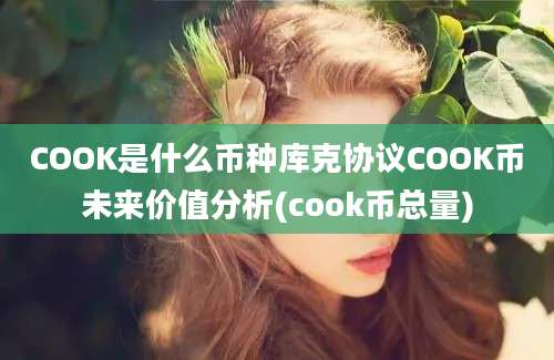 COOK是什么币种库克协议COOK币未来价值分析(cook币总量)