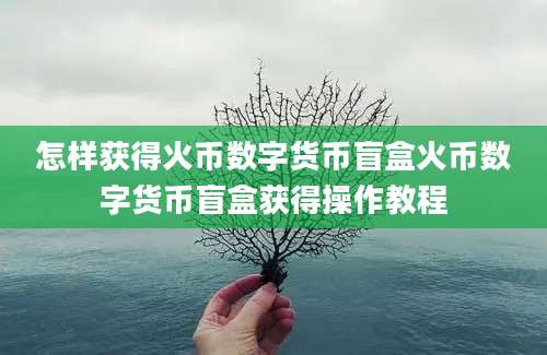 怎样获得火币数字货币盲盒火币数字货币盲盒获得操作教程