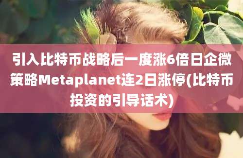 引入比特币战略后一度涨6倍日企微策略Metaplanet连2日涨停(比特币投资的引导话术)