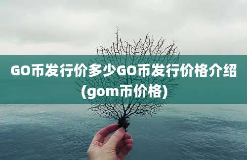 GO币发行价多少GO币发行价格介绍(gom币价格)