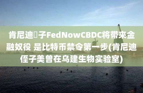 肯尼迪姪子FedNowCBDC将带来金融奴役 是比特币禁令第一步(肯尼迪侄子美曾在乌建生物实验室)