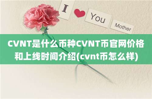 CVNT是什么币种CVNT币官网价格和上线时间介绍(cvnt币怎么样)