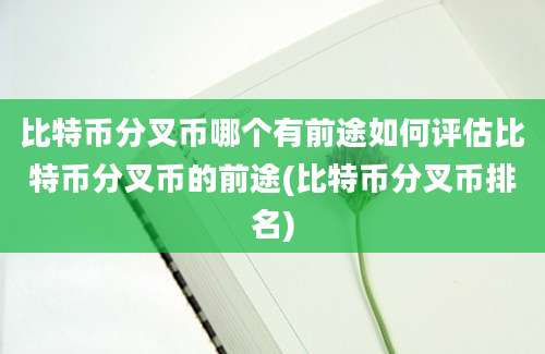 比特币分叉币哪个有前途如何评估比特币分叉币的前途(比特币分叉币排名)