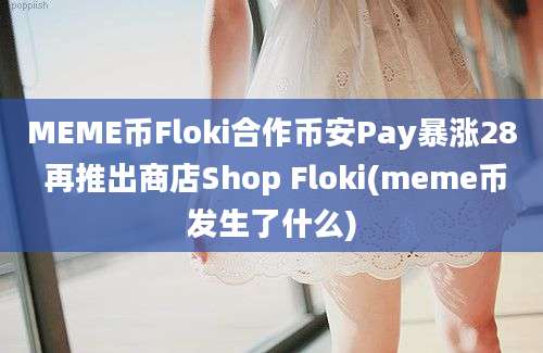 MEME币Floki合作币安Pay暴涨28 再推出商店Shop Floki(meme币发生了什么)