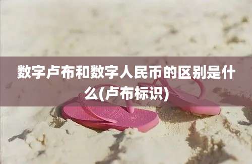 数字卢布和数字人民币的区别是什么(卢布标识)