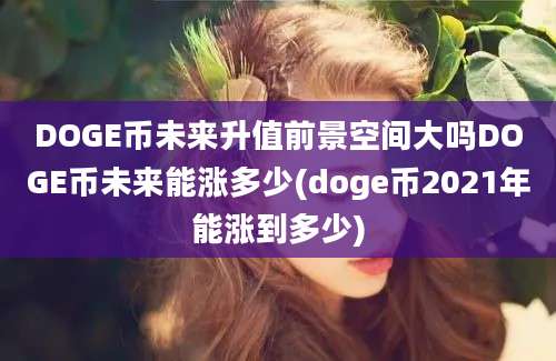 DOGE币未来升值前景空间大吗DOGE币未来能涨多少(doge币2021年能涨到多少)