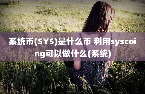 系统币(SYS)是什么币 利用syscoing可以做什么(系统)