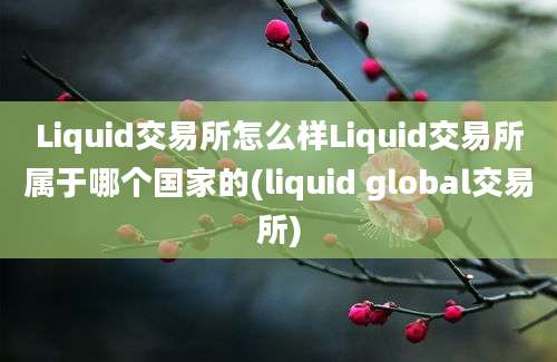 Liquid交易所怎么样Liquid交易所属于哪个国家的(liquid global交易所)