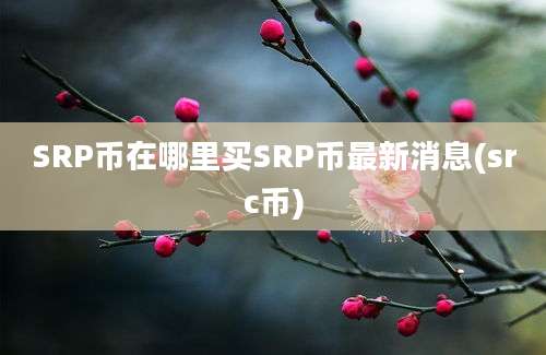 SRP币在哪里买SRP币最新消息(src币)