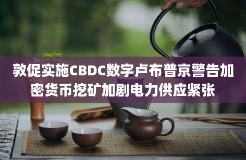 敦促实施CBDC数字卢布普京警告加密货币挖矿加剧电力供应紧张