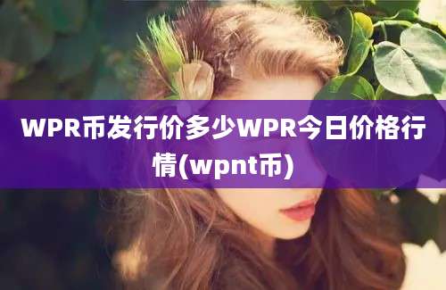 WPR币发行价多少WPR今日价格行情(wpnt币)