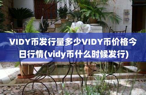 VIDY币发行量多少VIDY币价格今日行情(vidy币什么时候发行)