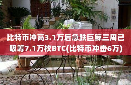 比特币冲高3.1万后急跌巨鲸三周已吸筹7.1万枚BTC(比特币冲击6万)