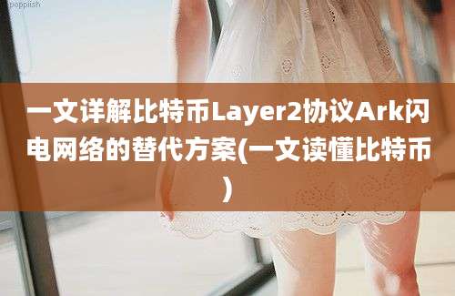 一文详解比特币Layer2协议Ark闪电网络的替代方案(一文读懂比特币)