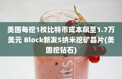 美国每挖1枚比特币成本飙至1.7万美元 Block新发5纳米挖矿晶片(美国挖钻石)