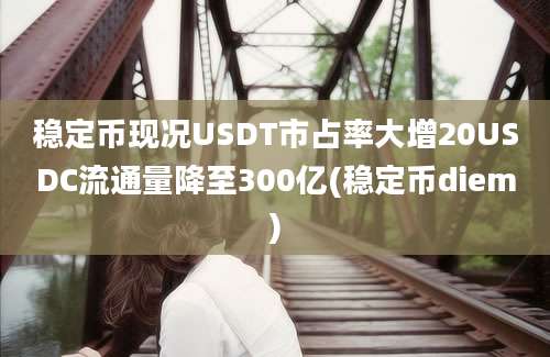 稳定币现况USDT市占率大增20USDC流通量降至300亿(稳定币diem)