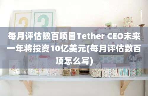 每月评估数百项目Tether CEO未来一年将投资10亿美元(每月评估数百项怎么写)