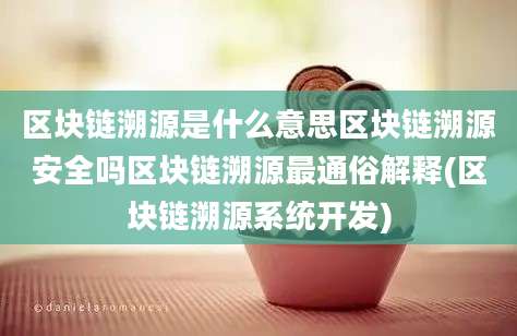 区块链溯源是什么意思区块链溯源安全吗区块链溯源最通俗解释(区块链溯源系统开发)