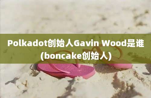 Polkadot创始人Gavin Wood是谁(boncake创始人)