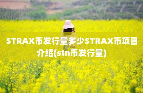 STRAX币发行量多少STRAX币项目介绍(stn币发行量)