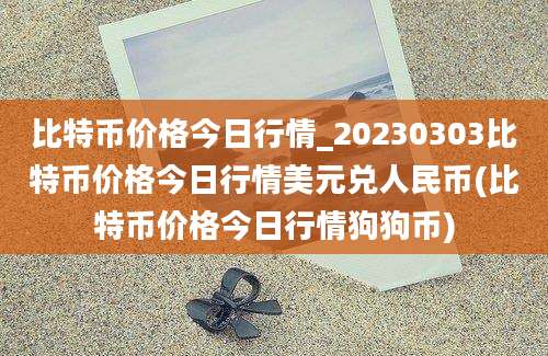 比特币价格今日行情_20230303比特币价格今日行情美元兑人民币(比特币价格今日行情狗狗币)