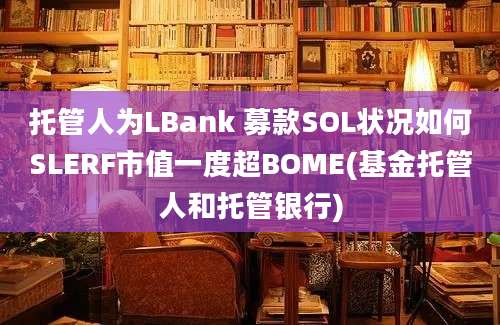 托管人为LBank 募款SOL状况如何SLERF市值一度超BOME(基金托管人和托管银行)