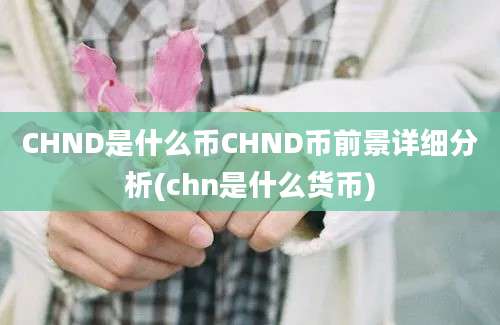 CHND是什么币CHND币前景详细分析(chn是什么货币)