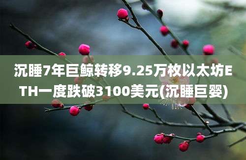 沉睡7年巨鲸转移9.25万枚以太坊ETH一度跌破3100美元(沉睡巨婴)