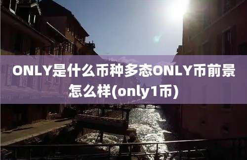 ONLY是什么币种多态ONLY币前景怎么样(only1币)