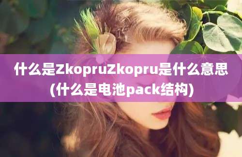 什么是ZkopruZkopru是什么意思(什么是电池pack结构)