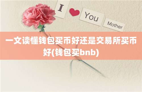 一文读懂钱包买币好还是交易所买币好(钱包买bnb)