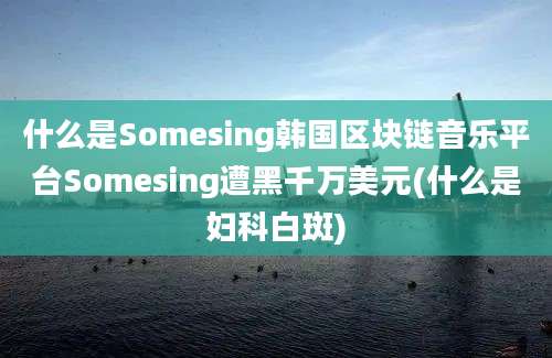 什么是Somesing韩国区块链音乐平台Somesing遭黑千万美元(什么是妇科白斑)