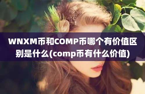 WNXM币和COMP币哪个有价值区别是什么(comp币有什么价值)