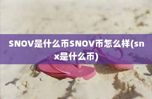 SNOV是什么币SNOV币怎么样(snx是什么币)