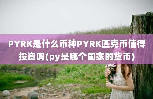 PYRK是什么币种PYRK匹克币值得投资吗(py是哪个国家的货币)