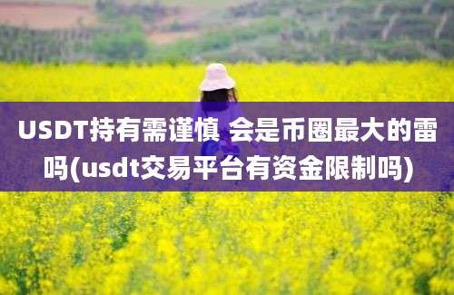 USDT持有需谨慎 会是币圈最大的雷吗(usdt交易平台有资金限制吗)