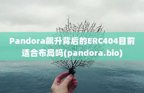 Pandora飙升背后的ERC404目前适合布局吗(pandora.bio)