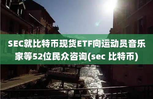 SEC就比特币现货ETF向运动员音乐家等52位民众咨询(sec 比特币)