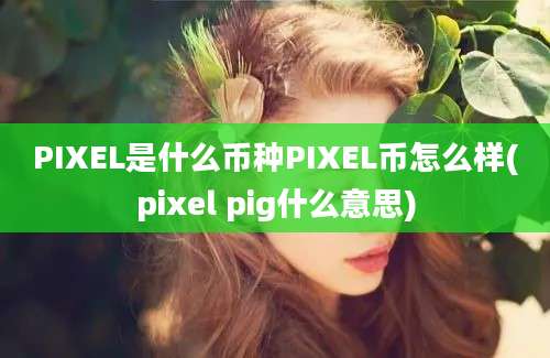 PIXEL是什么币种PIXEL币怎么样(pixel pig什么意思)