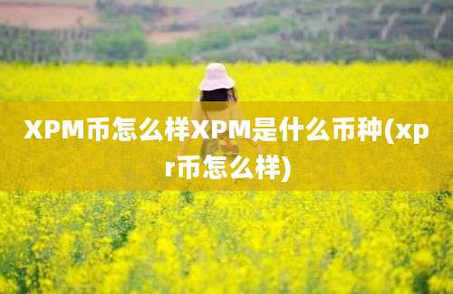 XPM币怎么样XPM是什么币种(xpr币怎么样)