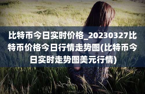 比特币今日实时价格_20230327比特币价格今日行情走势图(比特币今日实时走势图美元行情)