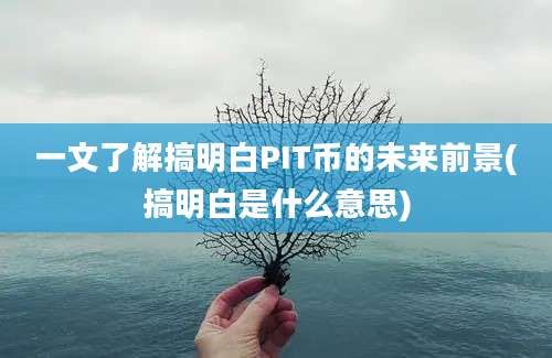 一文了解搞明白PIT币的未来前景(搞明白是什么意思)