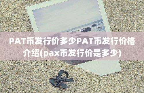 PAT币发行价多少PAT币发行价格介绍(pax币发行价是多少)